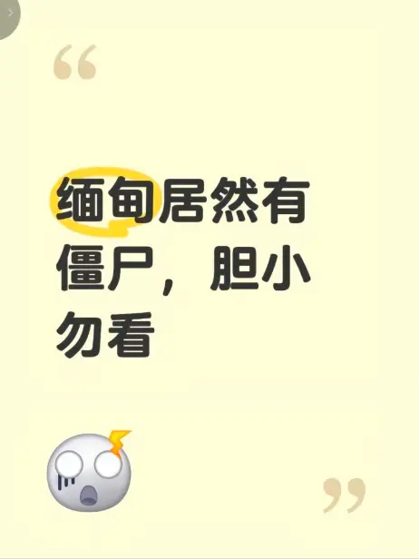 《缅甸僵尸出土事件》高清无删减在线观看 - 揭秘缅北僵尸出土真相 - 完整版视频免费播放