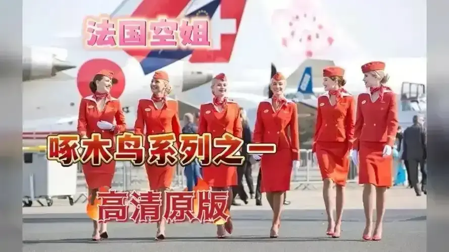 《法国空姐2019/不雅空乘》1080P高清国语中字免费观看-《法国空姐》未删减完整版资源在线看-空乘职场秘闻与情感纠葛
