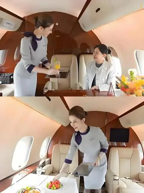 《私人航空/法国航空》未删减版高清在线观看-法国电影完整版免费播放-私人航空法国航空无弹窗