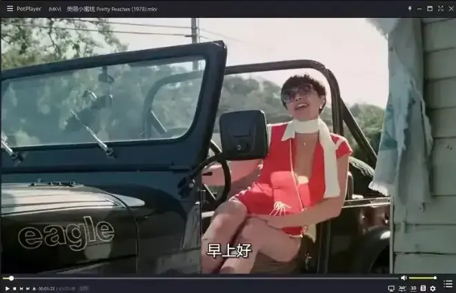 《美丽小蜜桃》高清中字完整版免费观看-1978年复古喜剧电影无删减在线播放-《美丽小蜜桃》HD资源