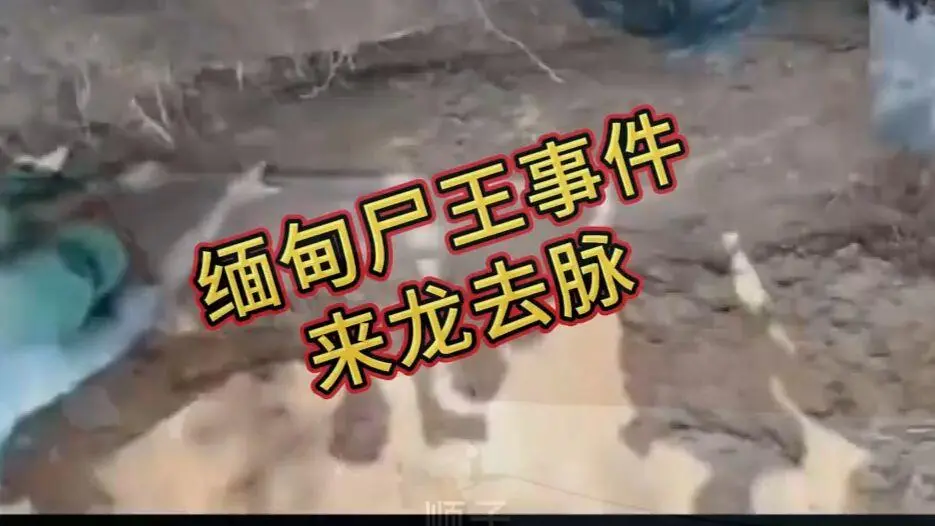 在线观看《缅甸僵尸出土事件视频》完整版资源-缅北僵尸出土事件始末原视频高清下载-超清未删减全程录像免费播放